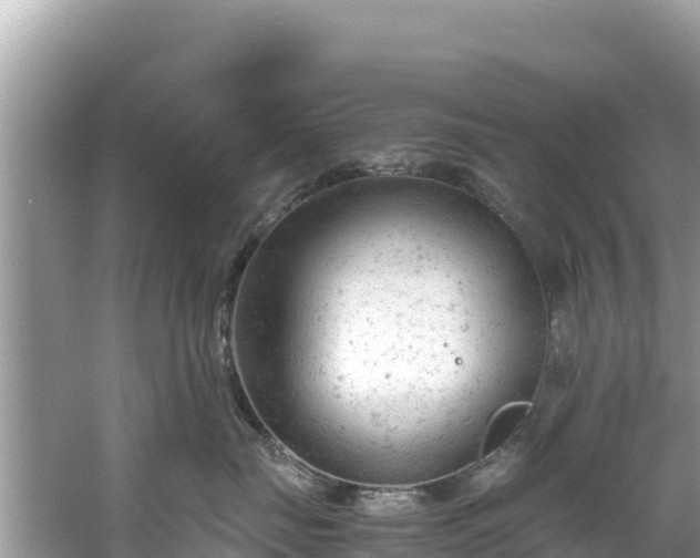 X0000061120671200511211002