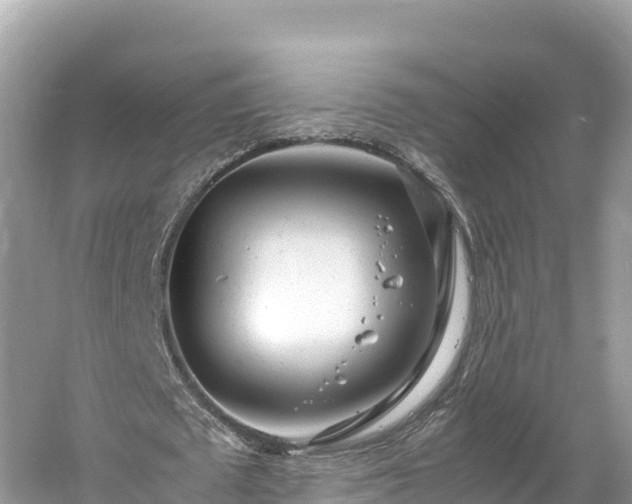 X0000061120673200511211001