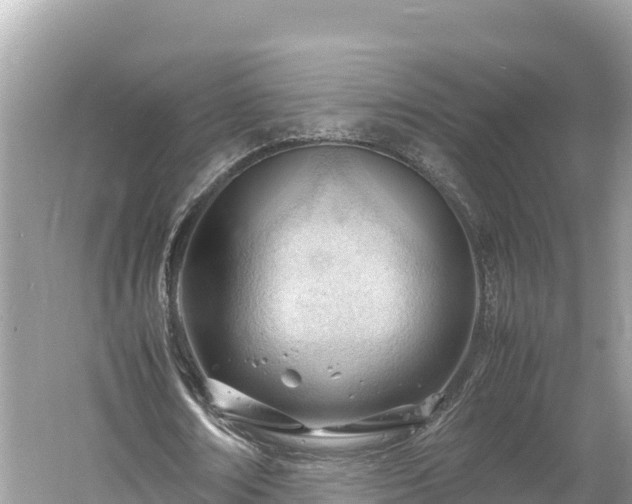 X0000061120674200511211001