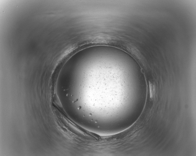 X0000061120675200511211001