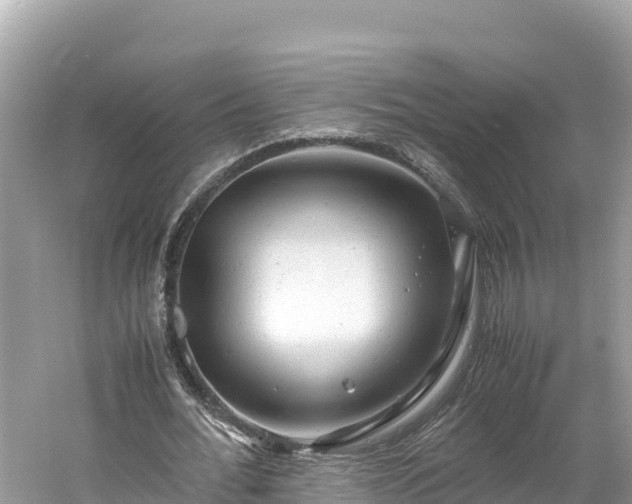 X0000061120676200511211001