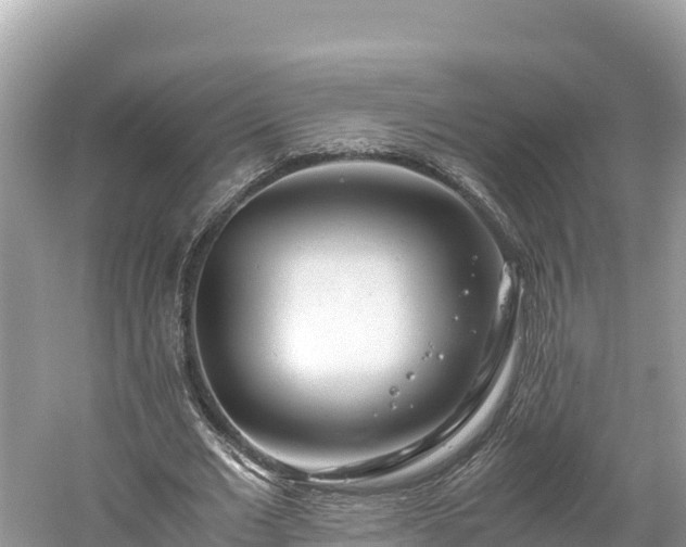 X0000061120677200511211001