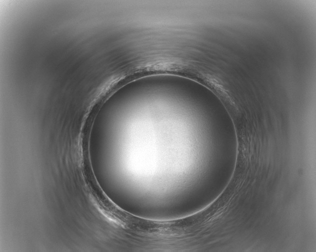 X0000061120678200511211001