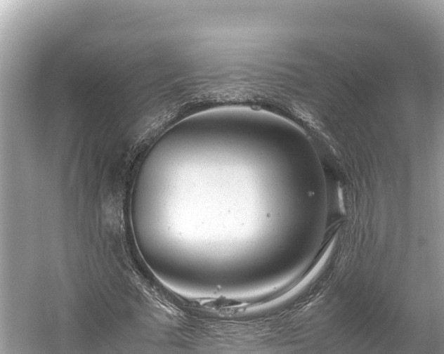 X0000061120681200511211001