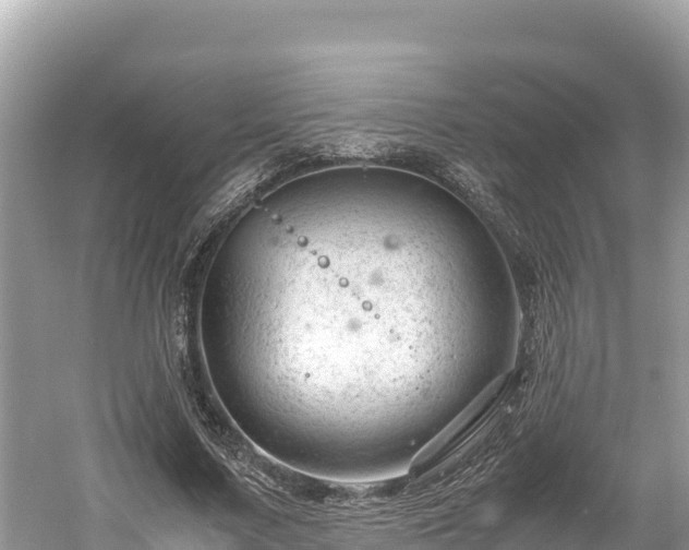 X0000061120683200511211001