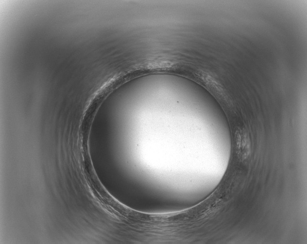 X0000061120684200511211001