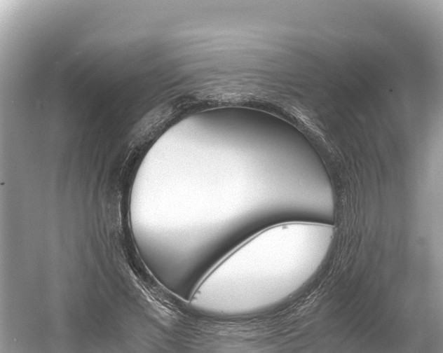 X0000061120685200511211001