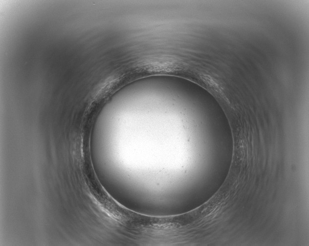 X0000061120686200511211001