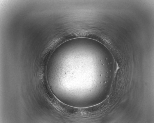 X0000061120687200511211001