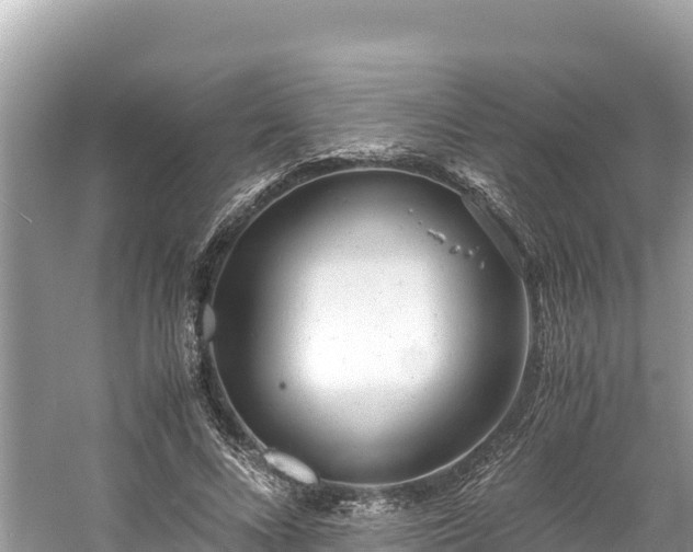 X0000061120688200511211001