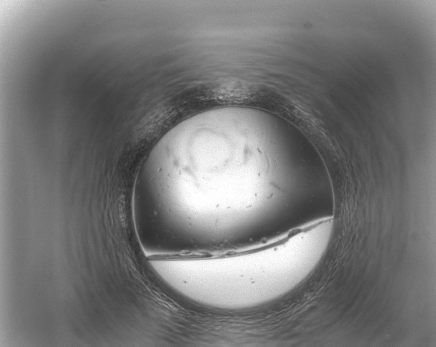 X0000061120689200511211001