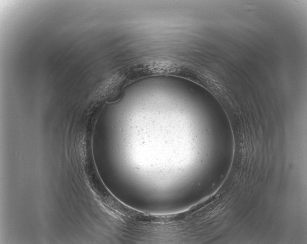 X0000061120690200511211001