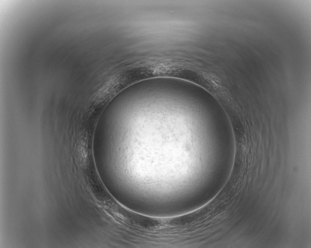 X0000061120691200511211001