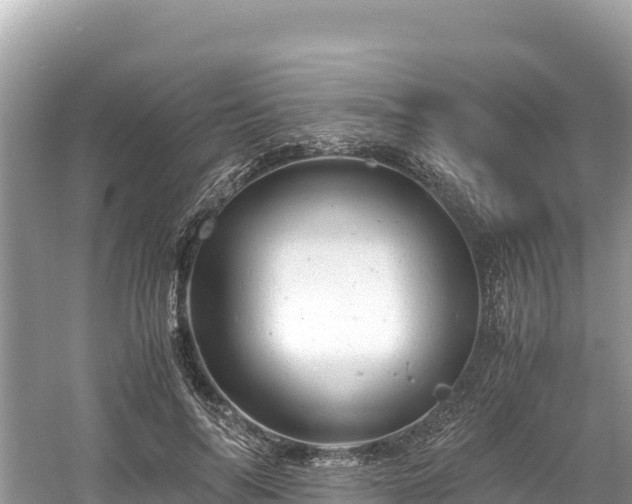 X0000061120694200511211001