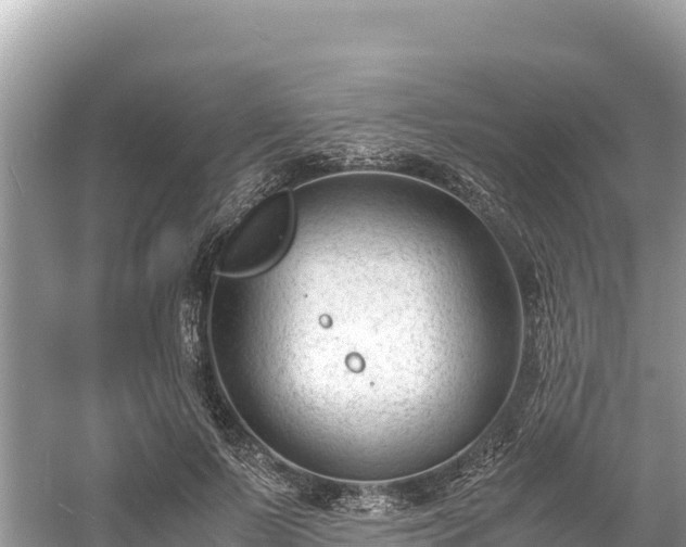 X0000061120695200511211001