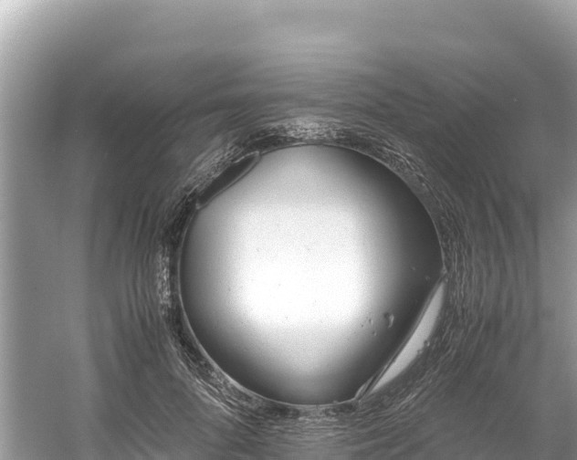 X0000061120696200511211001