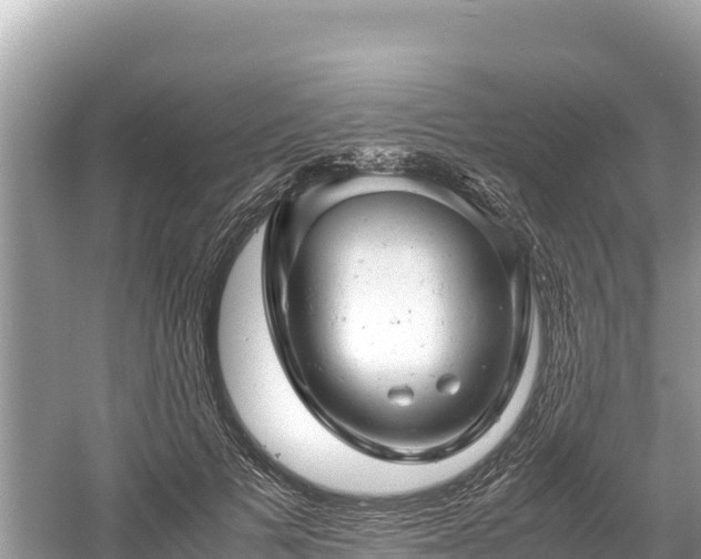 X0000061120697200511211001