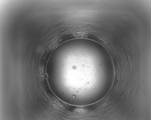 X0000061120699200511211001