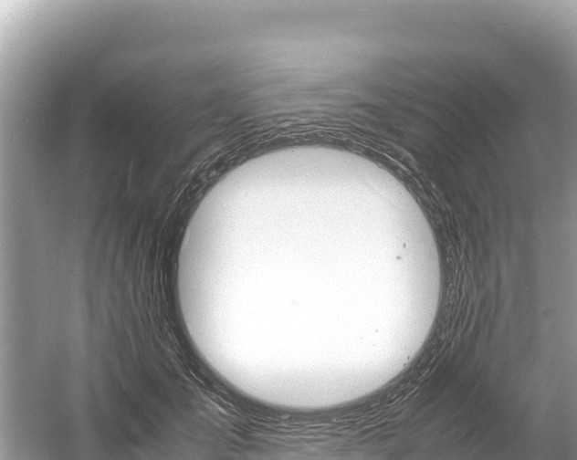 X0000061120701200511211001