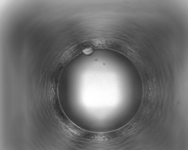 X0000061120702200511211001