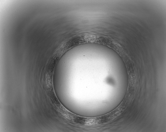 X0000061120705200511211001