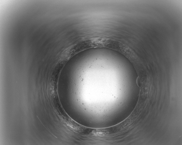 X0000061120706200511211001