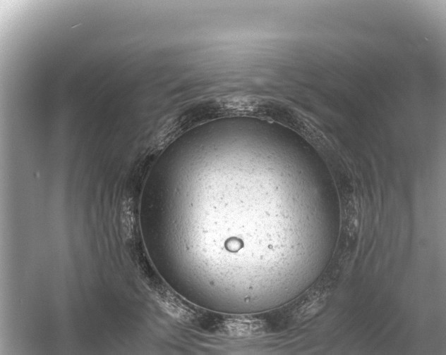 X0000061120707200511211001