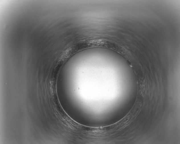 X0000061120708200511211001