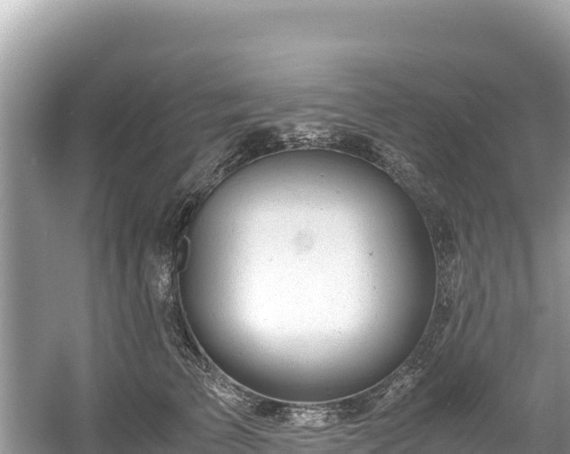 X0000061120709200511211001