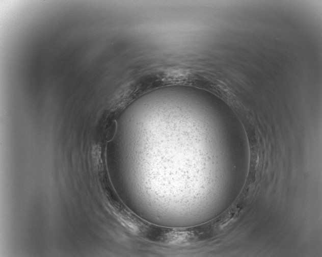 X0000061120711200511211001