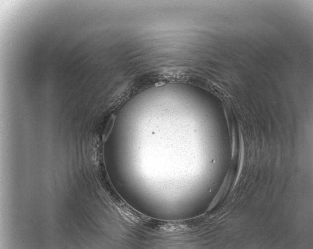 X0000061120712200511211001