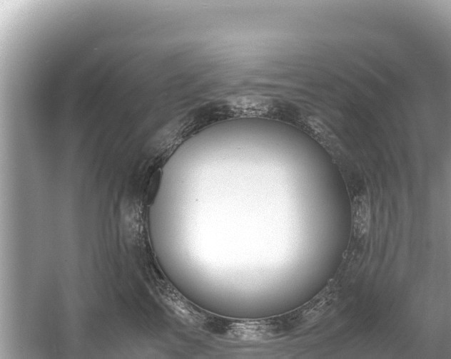 X0000061120713200511211001