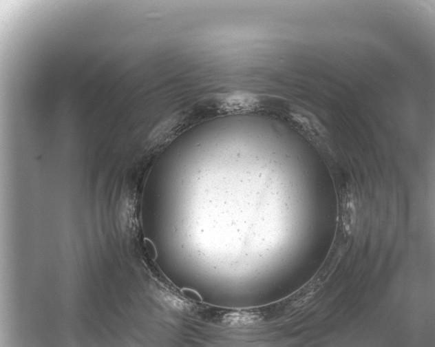 X0000061120714200511211001