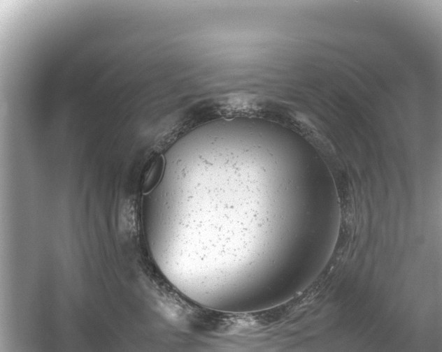 X0000061120715200511211001