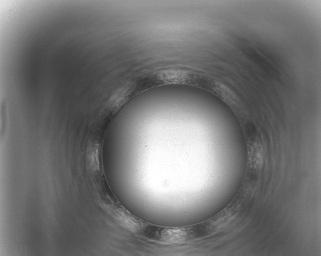 X0000061120717200511211000