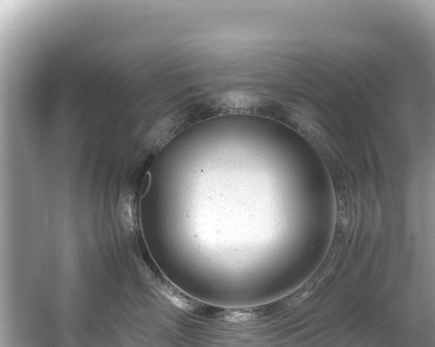 X0000061120718200511211000