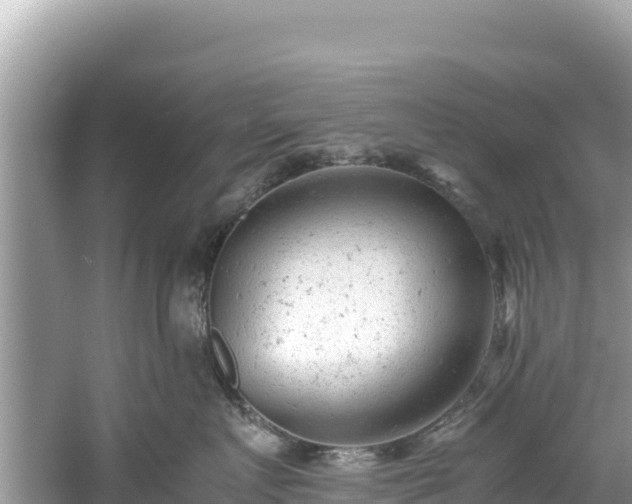 X0000061120719200511211000