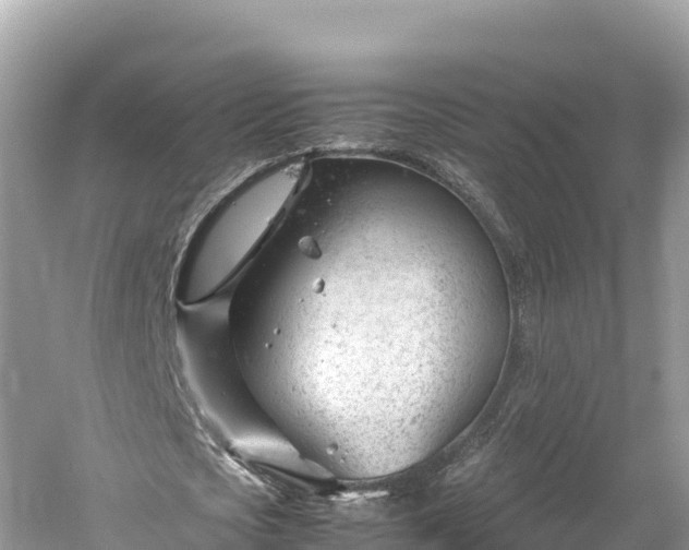 X0000061120721200511211000