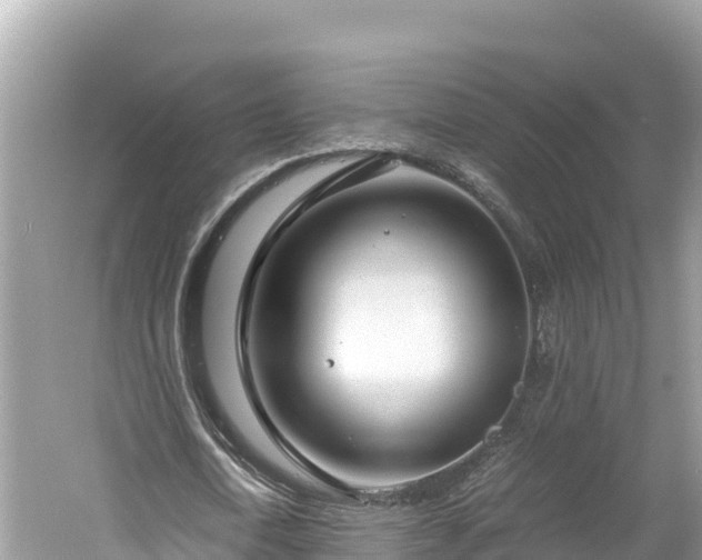 X0000061120722200511211000