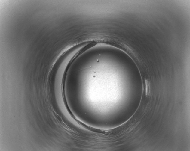 X0000061120723200511211000