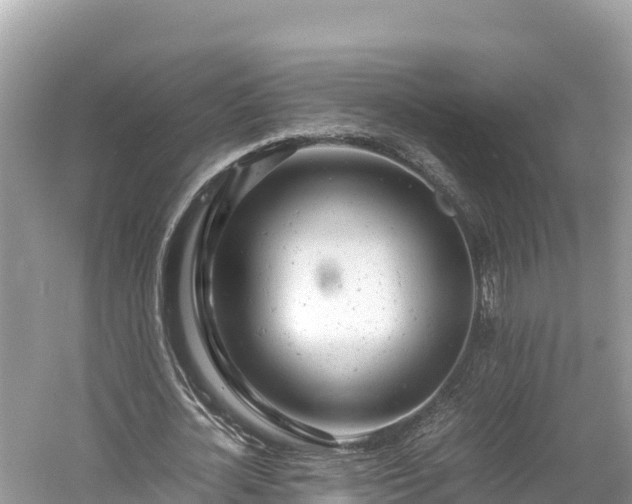 X0000061120724200511211000