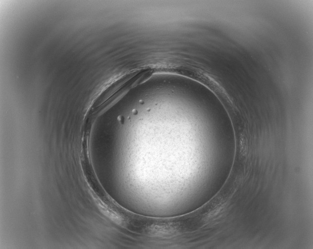 X0000061120725200511211000