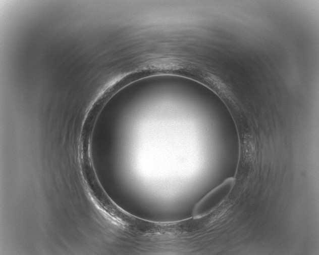 X0000061120726200511211000