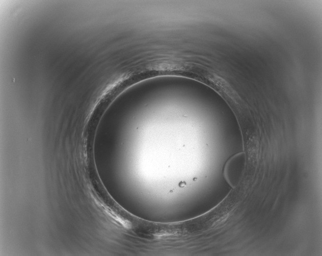 X0000061120727200511211000