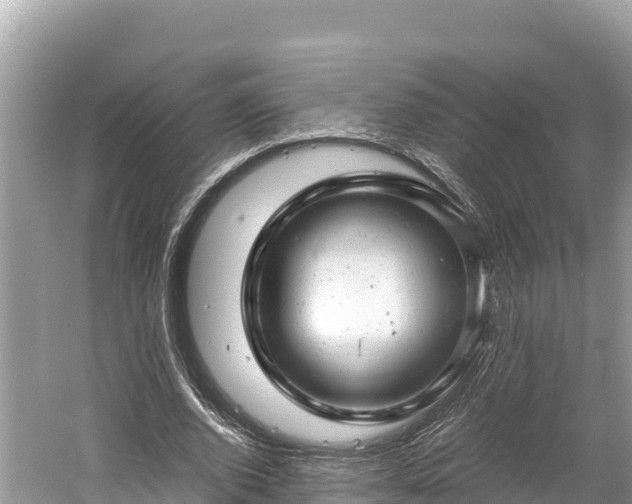 X0000061120728200511211000