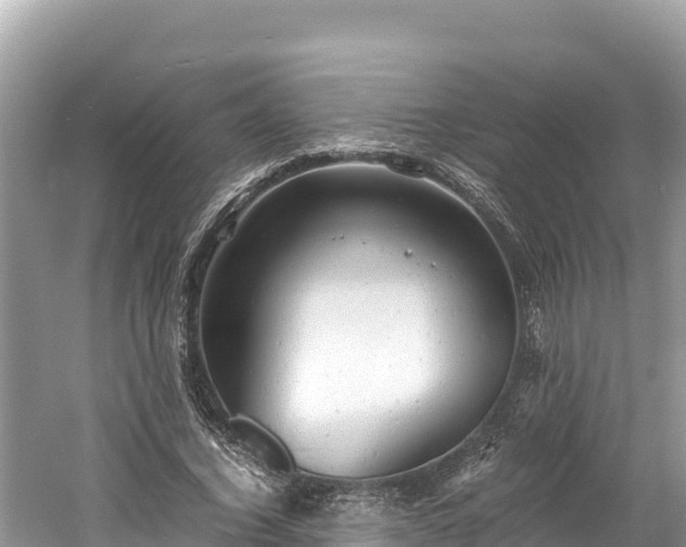 X0000061120732200511211000