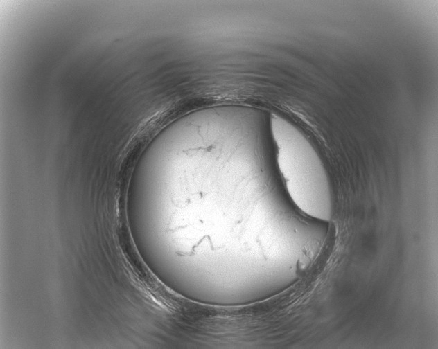 X0000061120733200511211000