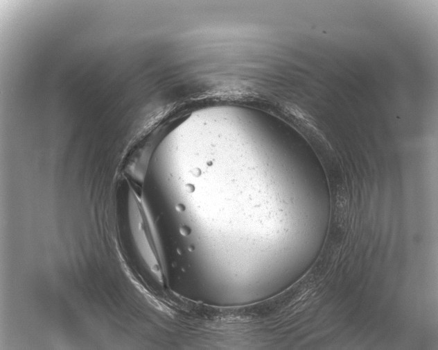 X0000061120734200511211000