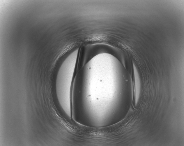 X0000061120735200511211000