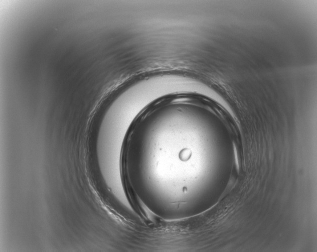 X0000061120736200511211000